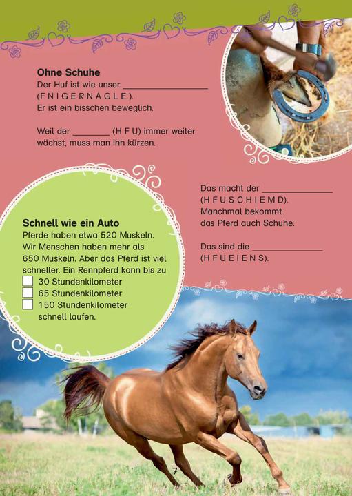 Actual product image Bibi & Tina: Das grosse Pferde-Quizbuch mit Bibi und Tina (German, Klett Learning Training, 2021)