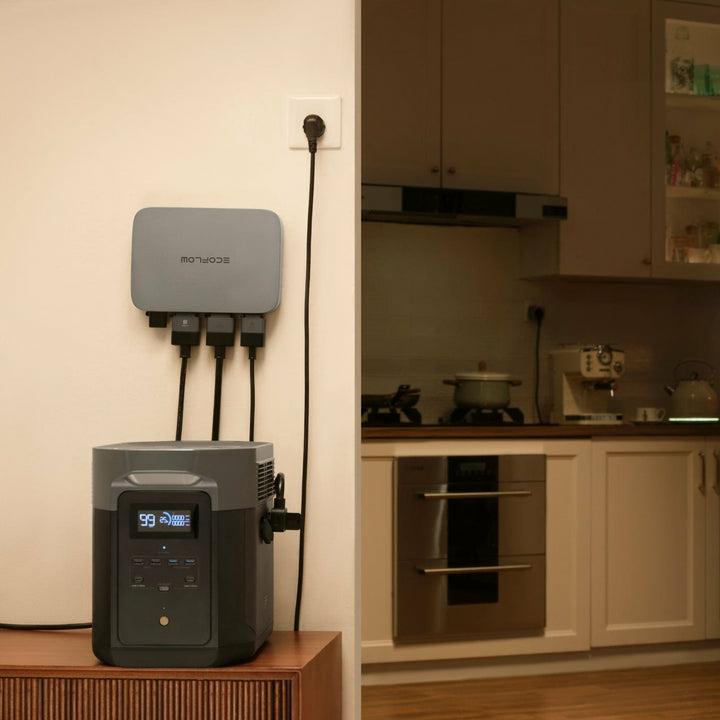 Actual product image EcoFlow Micro Inverter