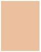 Image du produit Dermacol BB Cream Crème de beauté à l'acide hyaluronique All In One (02 Bronze)