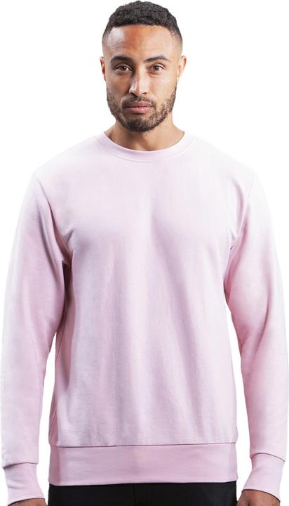 The Sweatshirt