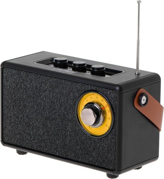 Immagine prodotto Camry Altoparlante con radio | CR 1902 B | 5 W | Bluetooth | Nero | Connessione wireless
