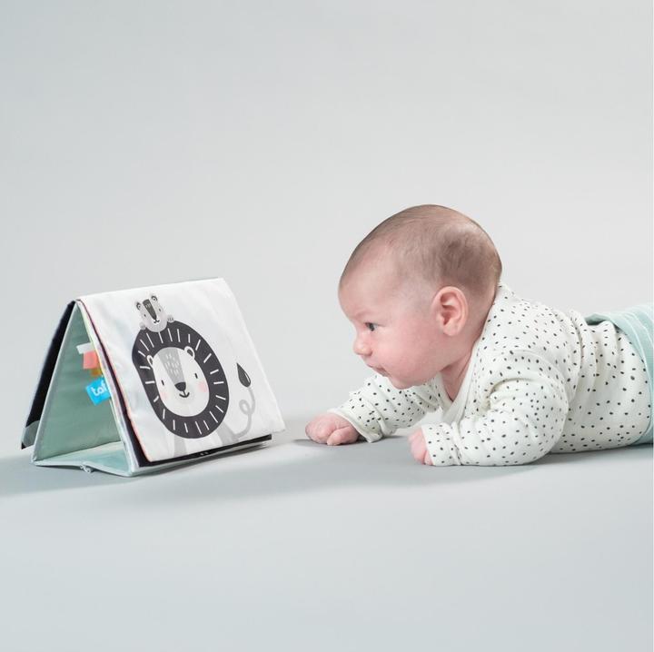 Actual product image Taf Toys Savannah (French, German)