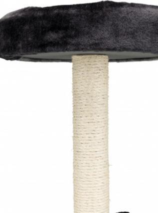 Produktbild Trixie Junior Kratzbaum Tarifa (52 cm, Schwarz, Grau)