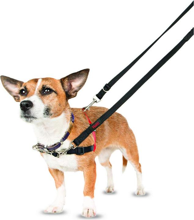 Image du produit Company of Animals Halti Anti-Traction S Front Control (S, Chien, Général)