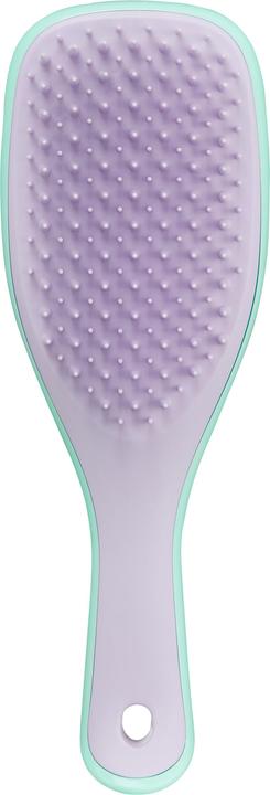 Tangle Teezer The Ultimate Detangler Mini Wisteria Leaf