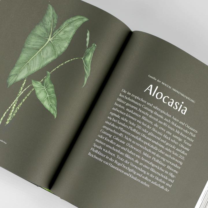 Immagine prodotto Plantopedia (Tedesco, Lauren Camilleri, Sophia Kaplan, 2022)