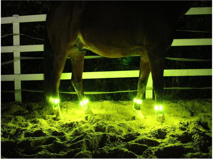 Produktbild Animal Light LED Leuchtgamaschen Threeple 4er-Set