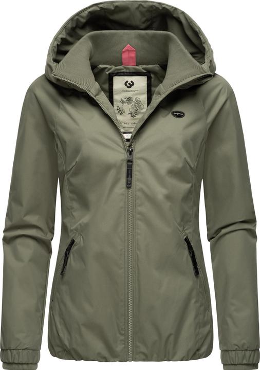 Olive024
