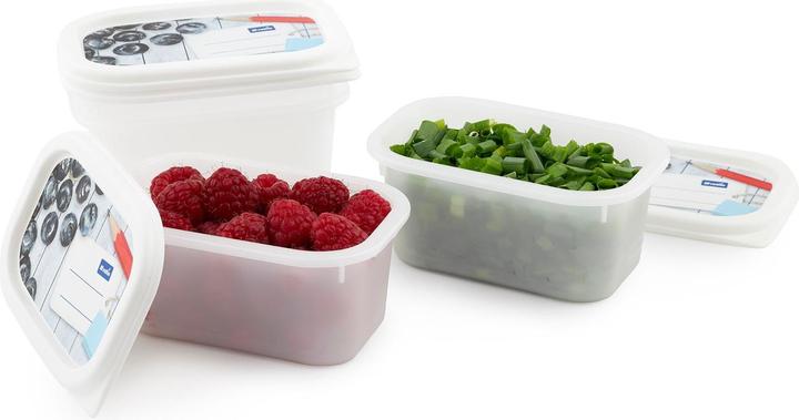 Produktbild Rotho Gefrierdosen Domino (0.20 l)