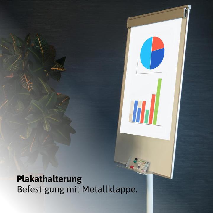 Produktbild Dönges mobiles Whiteboard mit Flipchartfunktion und Zubehör zum Beschriften
