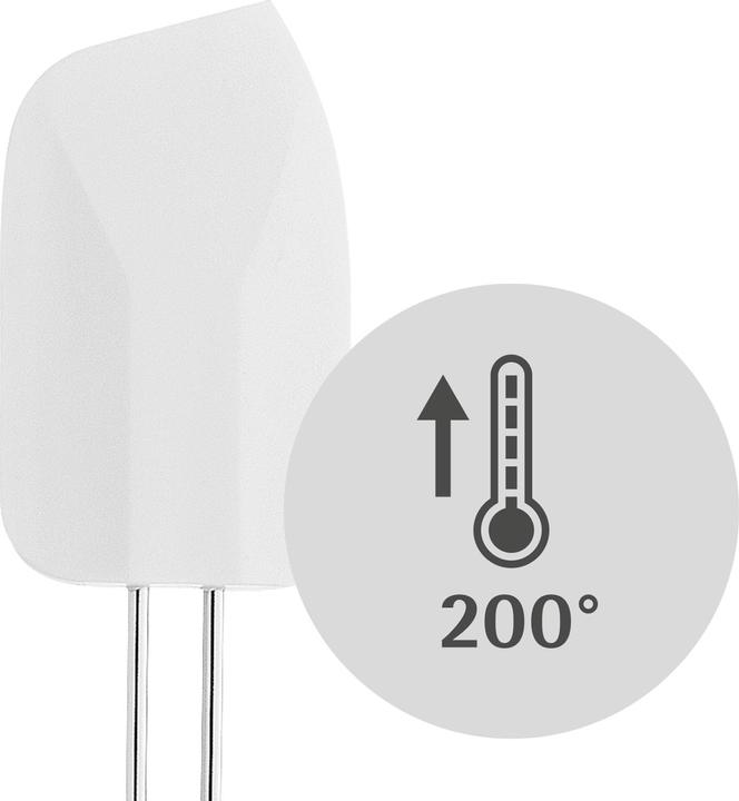 Actual product image WMF Professional Plus