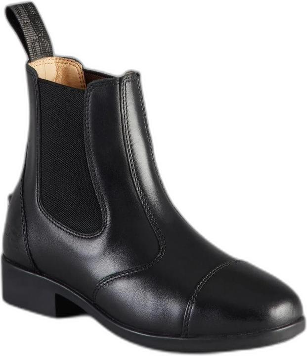 Premier Equine Torlano