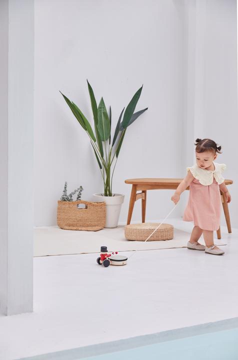 Image du produit Plantoys Plan Toys Pull-Along Drummer