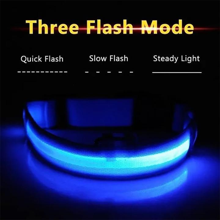 Image du produit Cbx Collier de chien à LED rechargeable Taille L - 46-50cm (L, Chien)