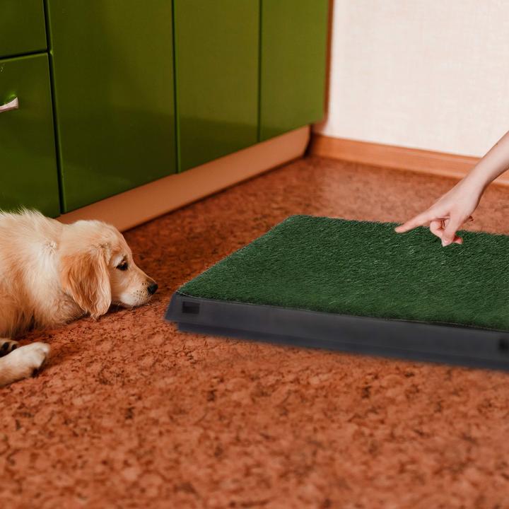 Image du produit Relaxdays Toilettes pour chiens, bac à déchets (Chenil pour chiens)