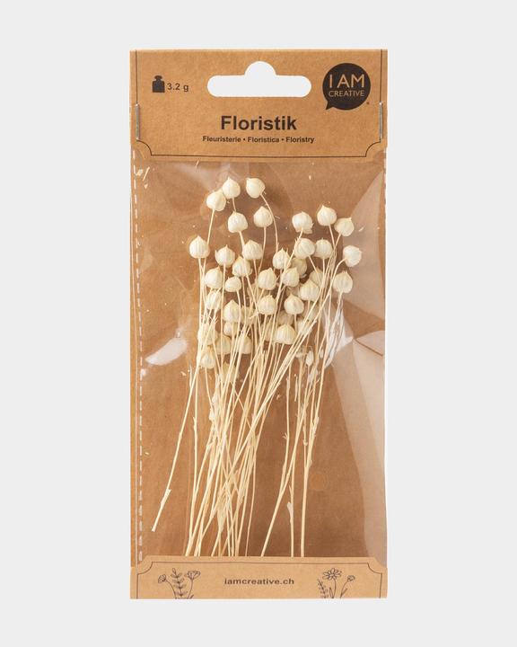 Produktbild I Am Creative Lino Gras (Trockenblumen)