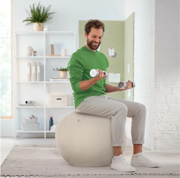 Produktbild Leitz Ergo Active Sitzball (65 cm)