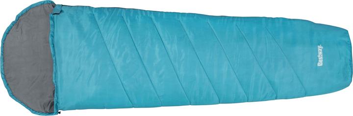 Bestway Hiberhide 10 mummy sleeping bag 220 x 75 x 50 cm, assorted (220 cm)