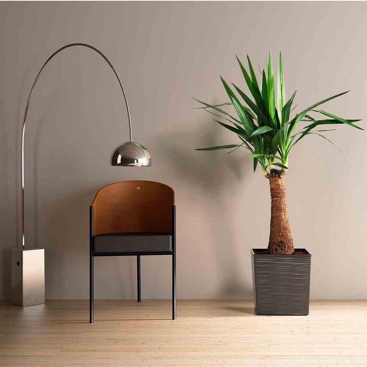 Produktbild Siena Garden Modern (25 cm)