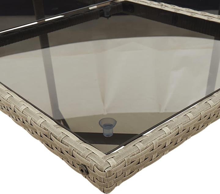 Immagine prodotto VidaXL Mobili da giardino set da pranzo set da giardino gruppo di sedute 13 pezzi in poly rattan grigio (220 cm)