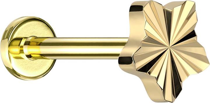 Immagine prodotto Star Piercing Micro labret filo interno placcato oro disco taglio diamante stella placcato oro (Titanio G23, senza ottone)