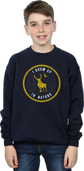 Image du produit Disney - Sweat FROZEN SVEN GREW UP IN NATURE - Garçon (140, 146)