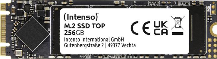 Produktbild Intenso Top Performance (256 GB, M.2 2280)