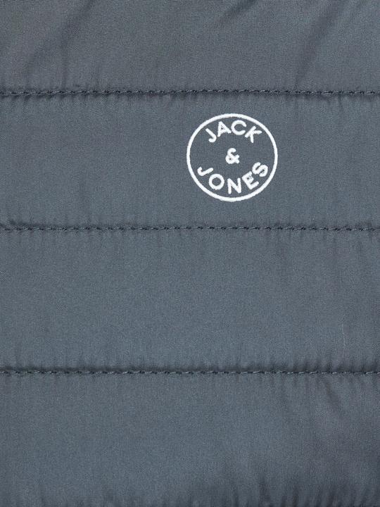 Actual product image Jack & Jones Lightweight quilted jacket (L)