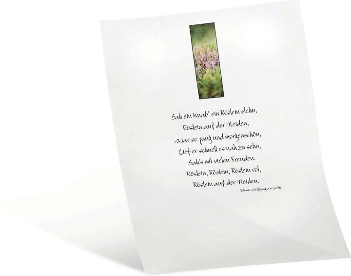 Immagine prodotto Folia Carta trasparente extra forte bianca (115 g/m², A4, 10 x)