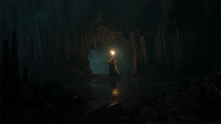 Image du produit Bandai Namco Les images sombres : Maison des cendres (PS4, PS5, IT, DE, FR)