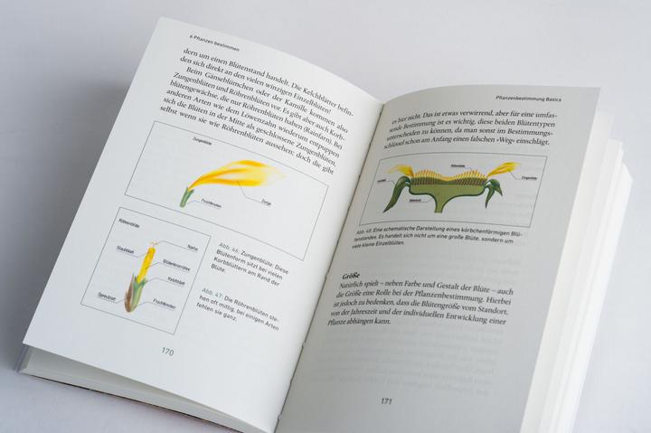 Produktbild Mein Wildkräuter-Guide (Deutsch, Manuel Larbig, 2021)