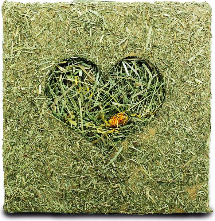 Image du produit JR Farm Cubes de foin avec fleurs (1.45 kg, 1 x)