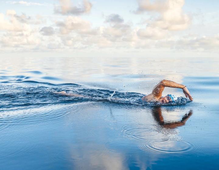Actual product image Im Meer bin ich zu Hause (German, Jan Stremmel, Nathalie Pohl, 2024)