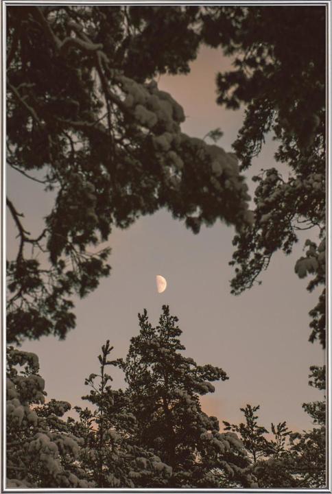 Actual product image Juniqe The Moon (13 x 18 cm)