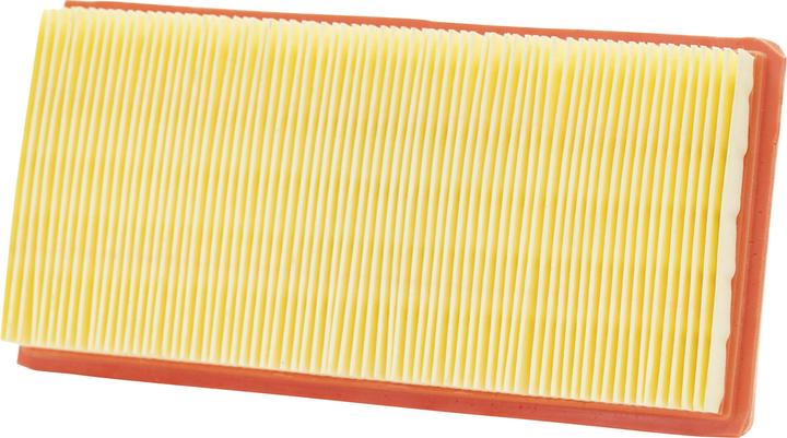 Champion Filtre à air CAF9005