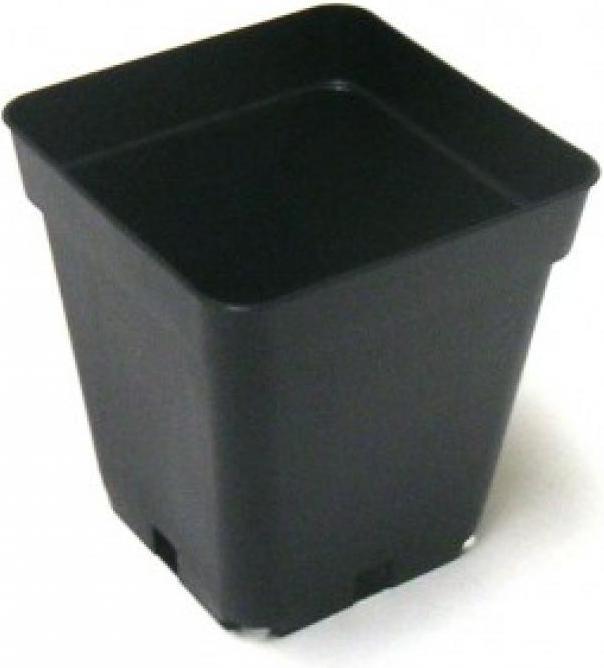 Actual product image Teku Square pot
