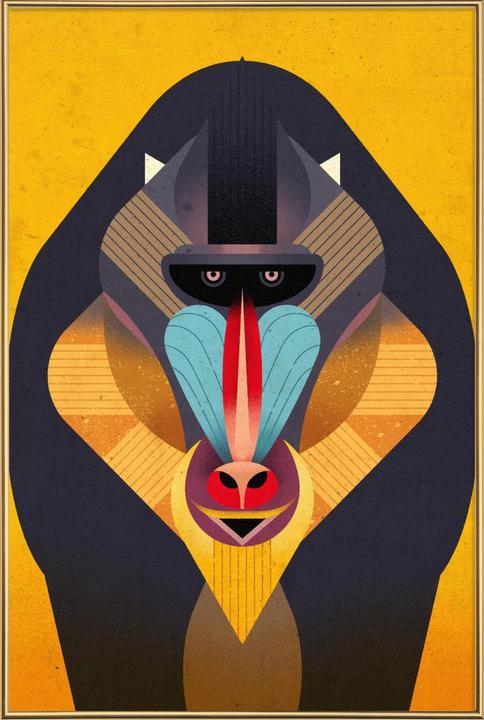 Immagine prodotto Juniqe Mandrill (13 x 18 cm)