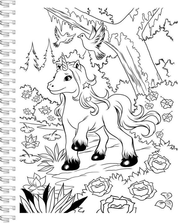 Image du produit Maison d'édition:Livre de coloriage Licorne