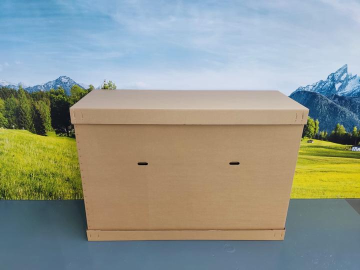 Image du produit Bulls Cross Mover Evo 5 (48 cm)