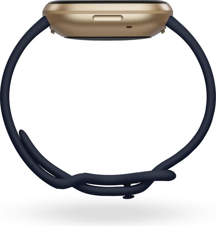 Immagine prodotto Fitbit Versa 3 (40.48 mm)