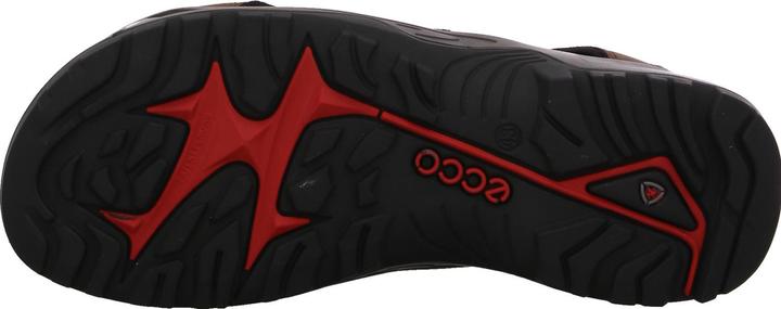 Produktbild Ecco Offroad Andes II (41)