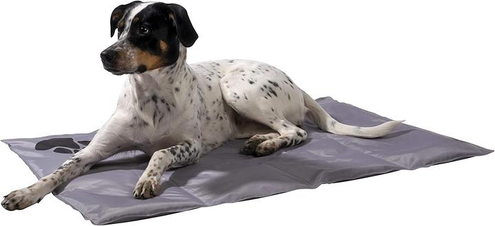 Actual product image Dobar Cooling mat with black paws 99.5 x 70 cm grey (Dog)