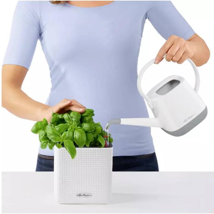 Actual product image Lechuza Cube Color (14 cm)
