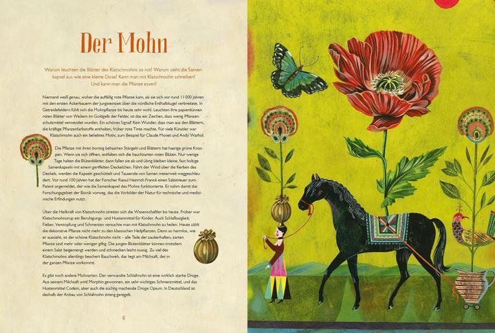 Produktbild Olaf Hajeks Buch der Blumen (Deutsch, Christine Paxmann, 2020)