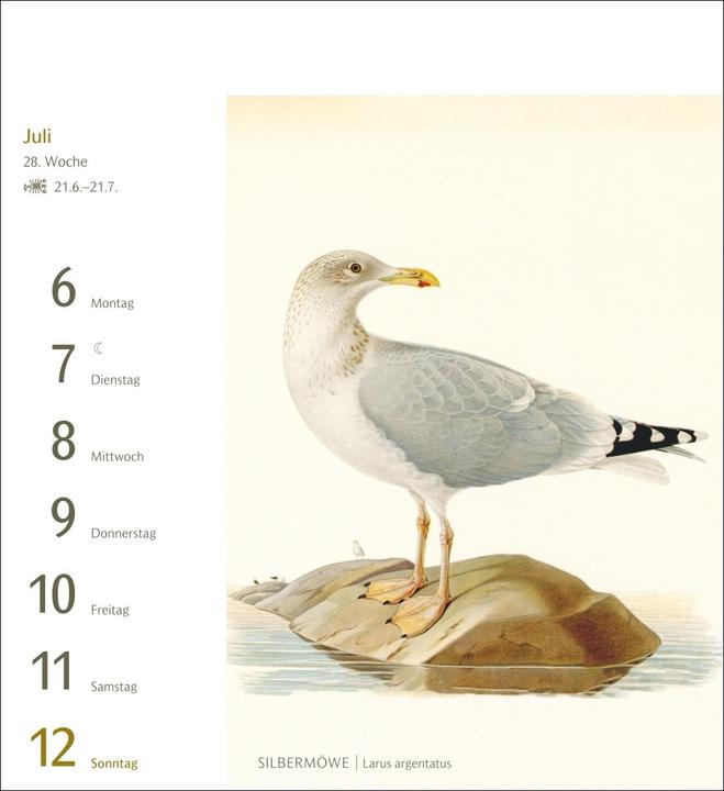 Produktbild Harenberg Vögel Postkartenkalender 2026 - Postkartenkalender mit 53 historischen Zeichnungen (Harter Einband, Deutsch)