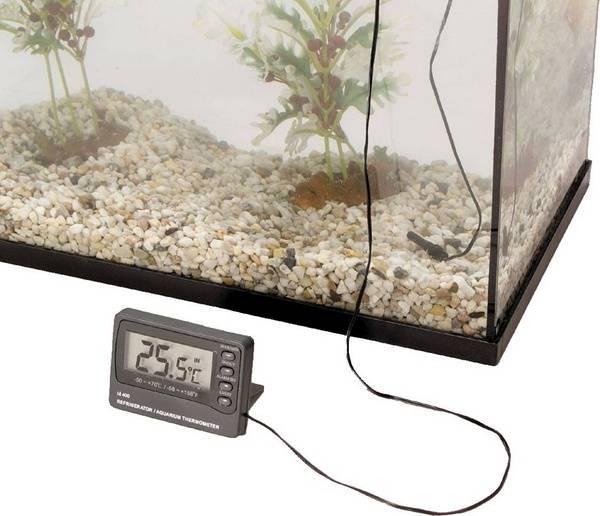 Actual product image EBI Digital thermometer with alarm