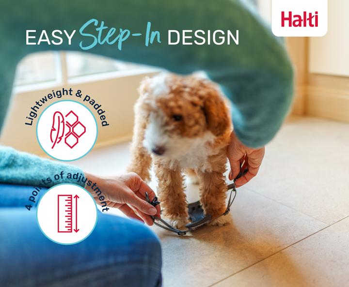 Actual product image Company of Animals Halti Anatomy XXS puppy harness (XXS, Dog)