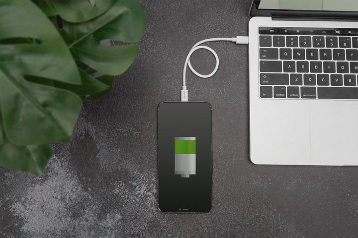 Actual product image Digitus Data / Charger Cable, USB-C - Lightning, MFI (1 m, USB 2.0)