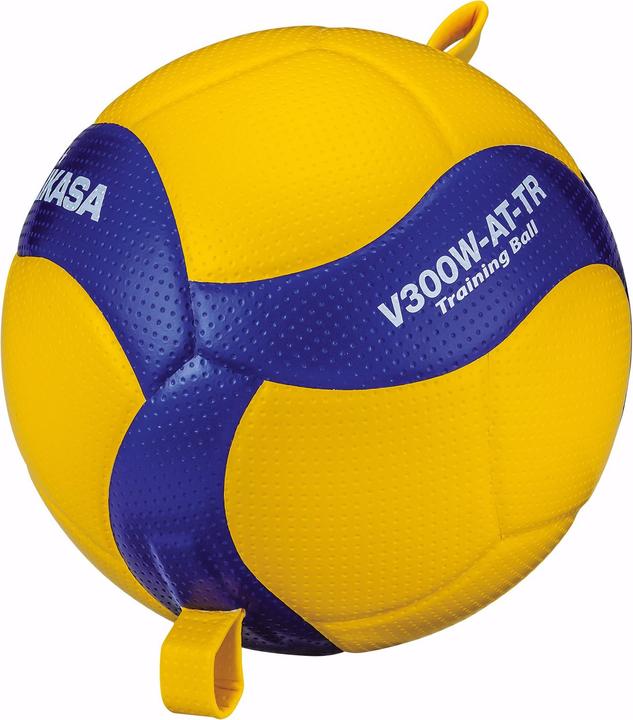 Productafbeelding Mikasa Volleybal V300WATTR (5)