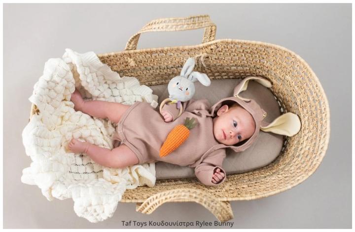 Actual product image Taf Toys Hare Rylee